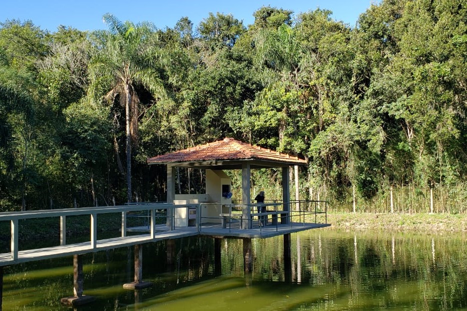 Lago