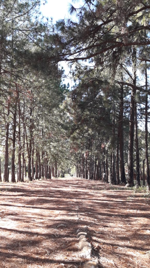 Área externa